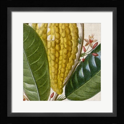 Framed Cropped Turpin Tropicals VI Print