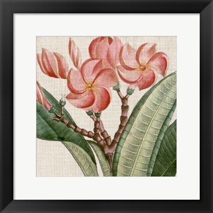 Framed Cropped Turpin Tropicals VII Print