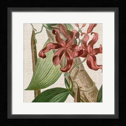 Framed Cropped Turpin Tropicals IX Print