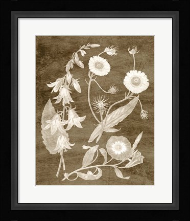 Framed Botanical in Taupe III Print