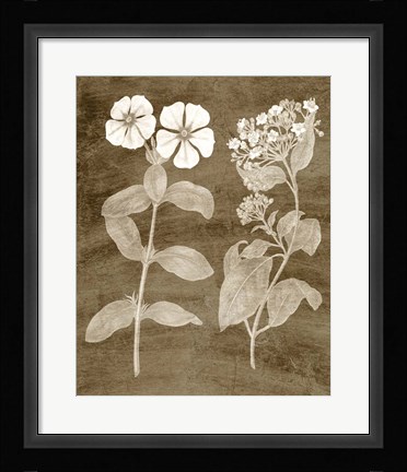 Framed Botanical in Taupe IV Print