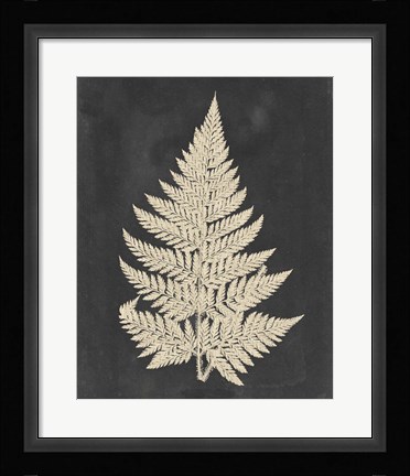 Framed Linen Fern I Print
