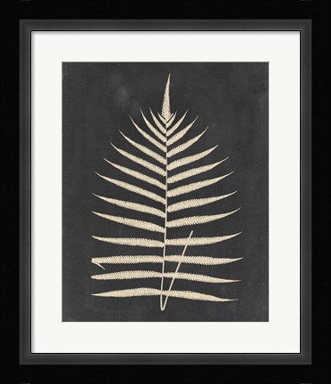 Framed Linen Fern III Print