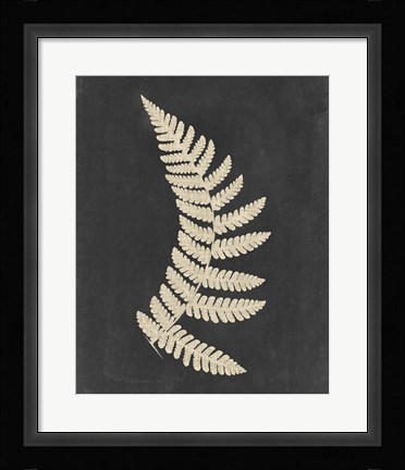 Framed Linen Fern IV Print