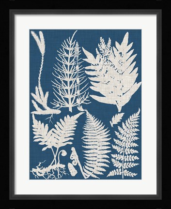 Framed Linen &amp; Blue Ferns II Print