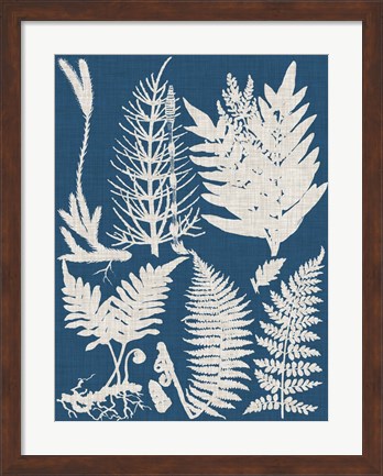 Framed Linen &amp; Blue Ferns II Print