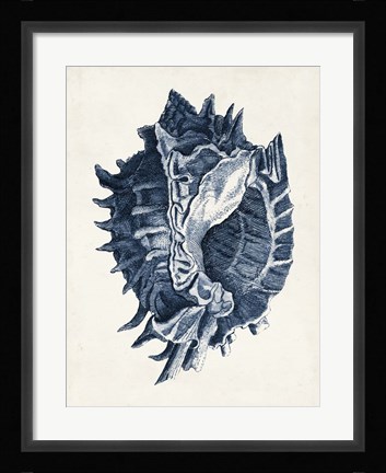 Framed Coastal Collection in Indigo I Print
