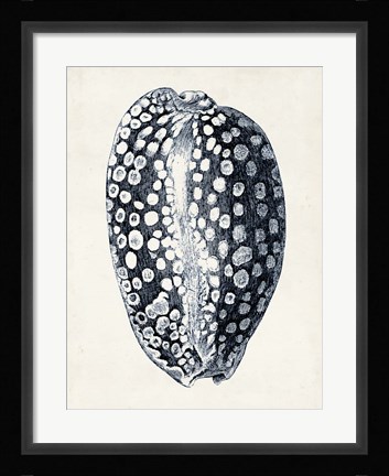 Framed Coastal Collection in Indigo III Print