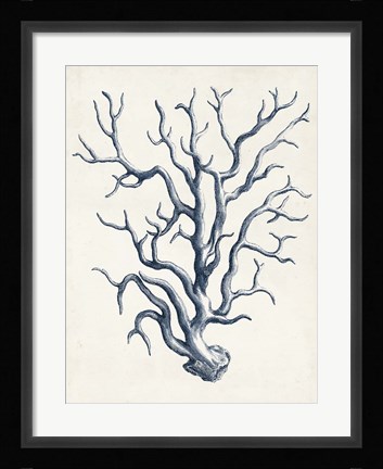 Framed Coastal Collection in Indigo IV Print