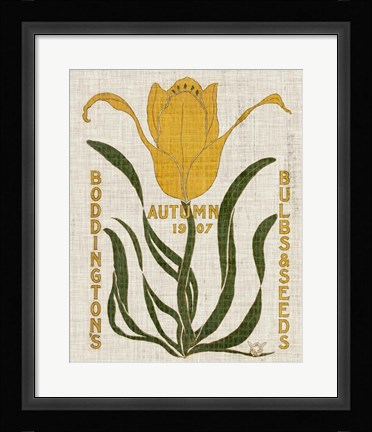 Framed Flower Seed Packs I Print