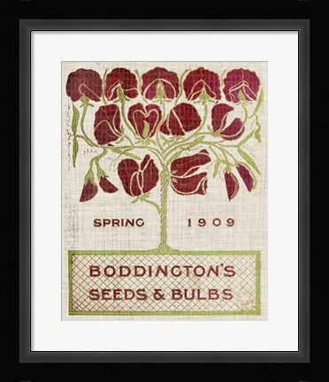 Framed Flower Seed Packs II Print