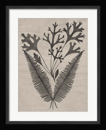 Framed Eloquent Leaves IV Print