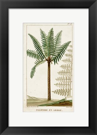 Framed Exotic Palms III Print