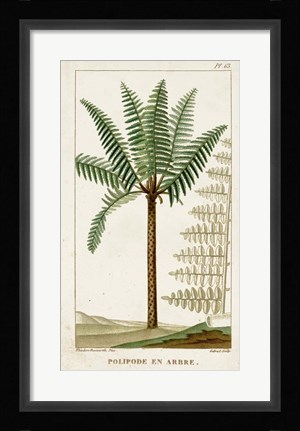 Framed Exotic Palms III Print