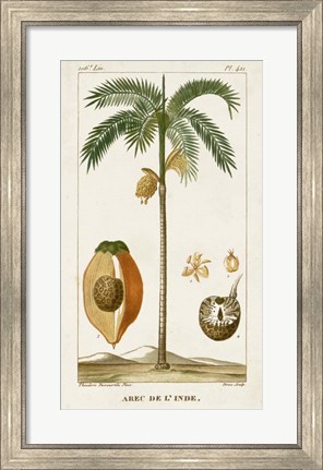 Framed Exotic Palms V Print