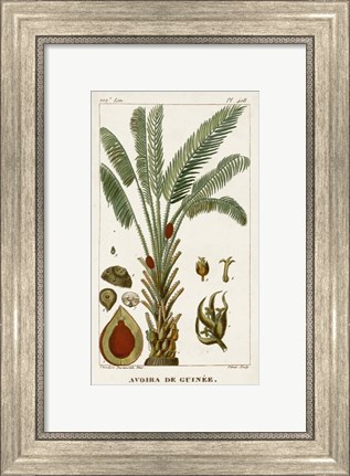 Framed Exotic Palms VI Print