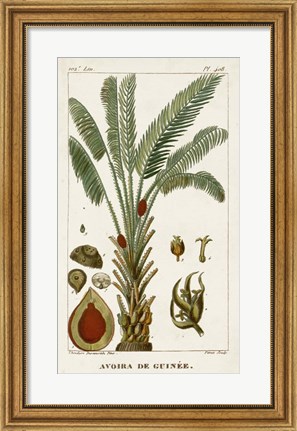 Framed Exotic Palms VI Print