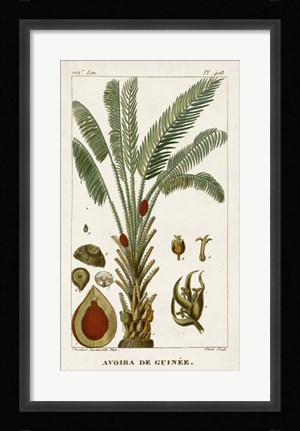 Framed Exotic Palms VI Print