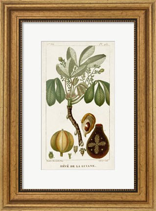 Framed Exotic Palms VIII Print