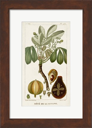 Framed Exotic Palms VIII Print