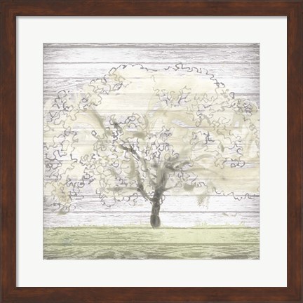 Framed Barn Tree II Print