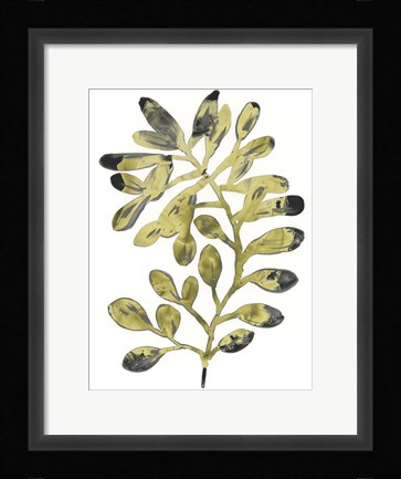 Framed Foliage Fossil II Print