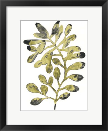 Framed Foliage Fossil II Print