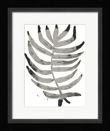 Framed Foliage Fossil IV Print