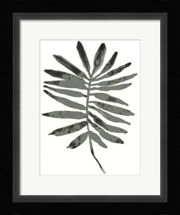 Framed Foliage Fossil VII Print