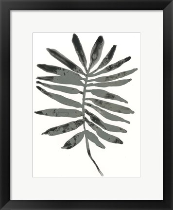 Framed Foliage Fossil VII Print