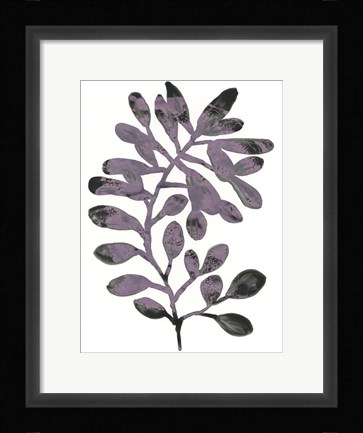Framed Foliage Fossil VIII Print