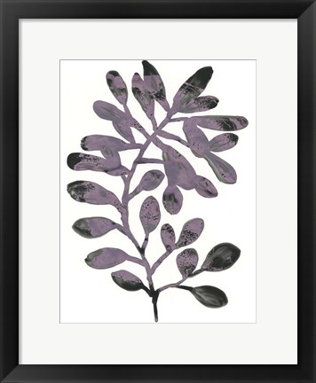 Framed Foliage Fossil VIII Print