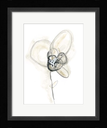 Framed Monochrome Floral Study I Print