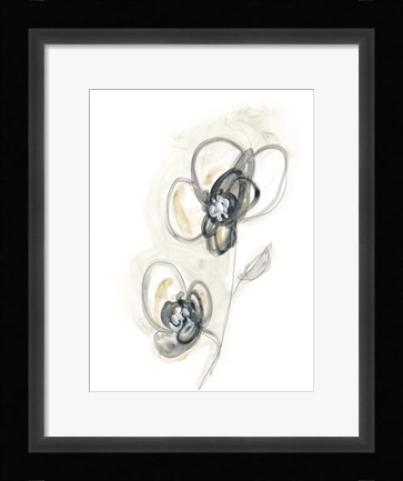 Framed Monochrome Floral Study II Print