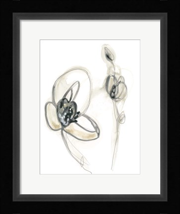Framed Monochrome Floral Study III Print