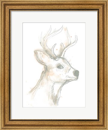 Framed Deer Cameo IV Print