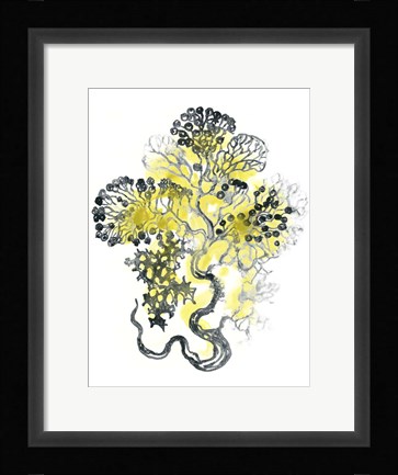 Framed Citron Sea Kelp I Print