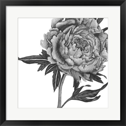 Framed Flowers in Grey II Print
