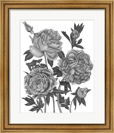 Framed Flowers in Grey VI Print