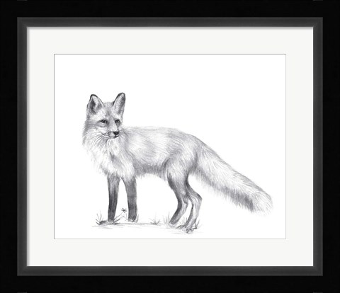 Framed Wildlife Trail I Print