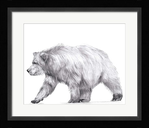 Framed Wildlife Trail III Print