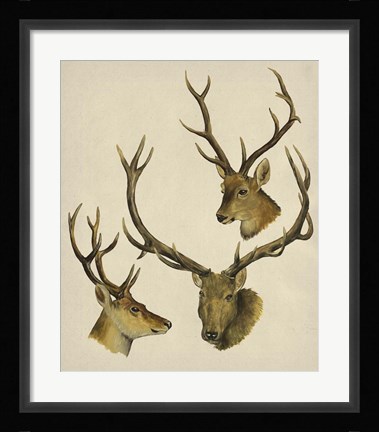 Framed Wild World I Print