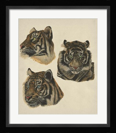 Framed Wild World II Print