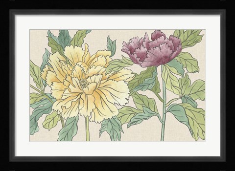 Framed Peony Blooms II Print