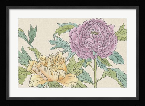 Framed Peony Blooms III Print