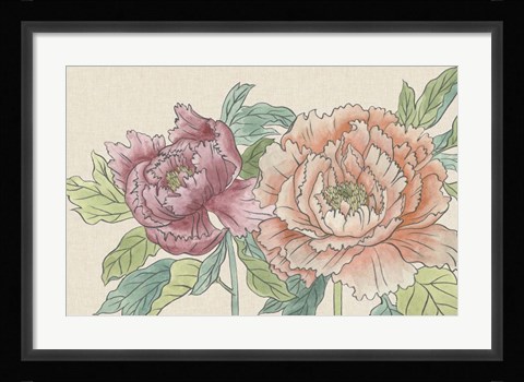 Framed Peony Blooms IV Print