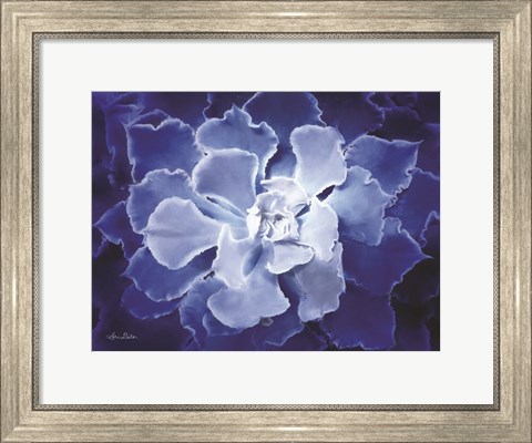 Framed Blue Succulent I Print