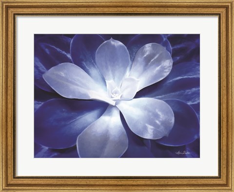Framed Blue Succulent II Print