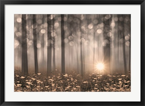 Framed Enchanted Morning Print