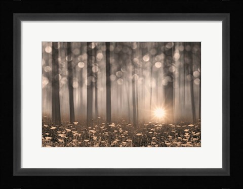 Framed Enchanted Morning Print